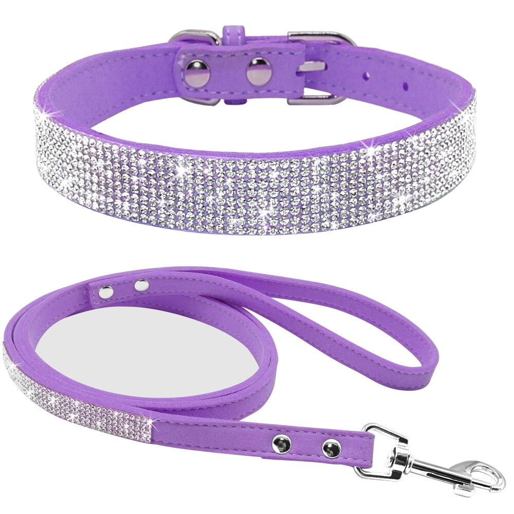 Lavish Leash Set
