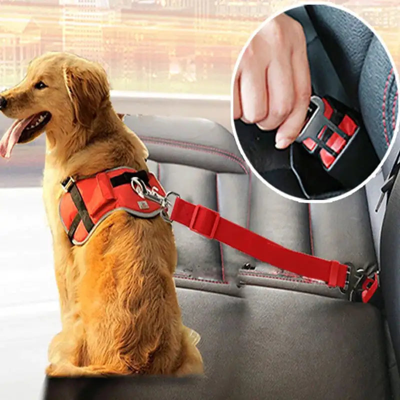 Extendo Dog Safety Seat Belt