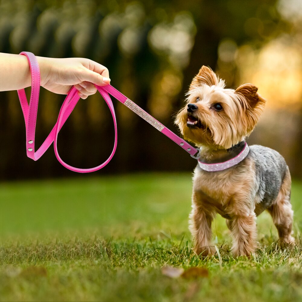 Lavish  Leash Set
