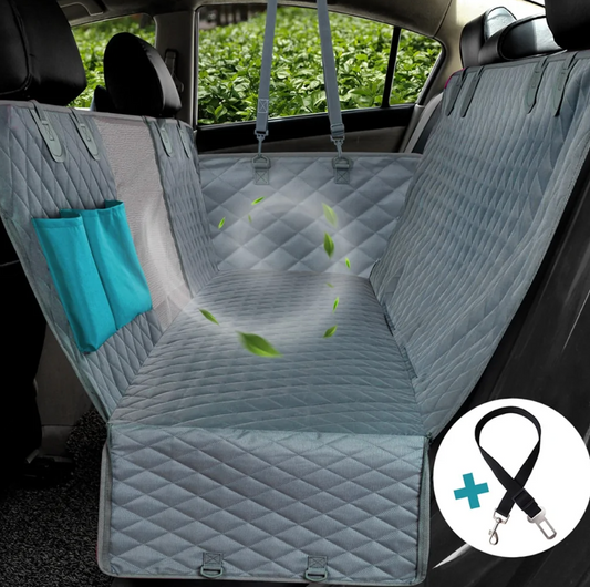 Champs.. Dog Seat Cover